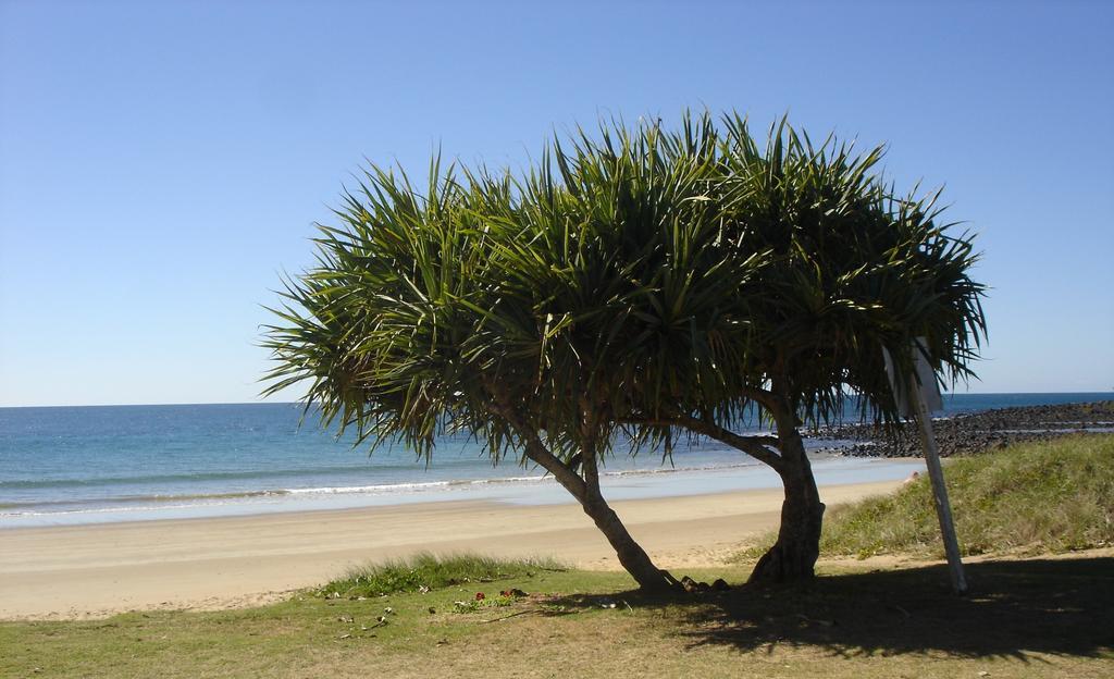 Koola Beach Apartments Bargara Εξωτερικό φωτογραφία
